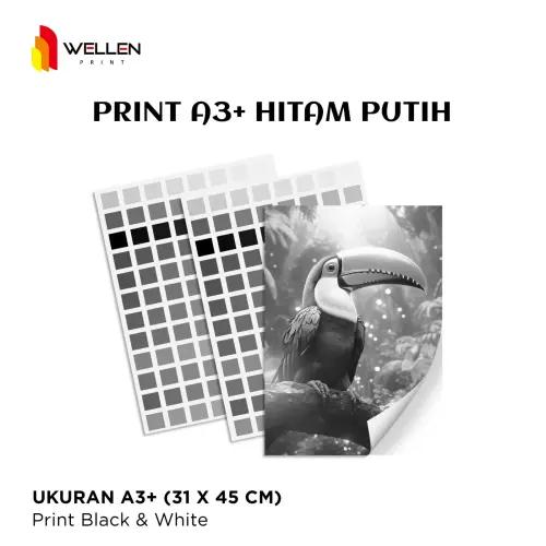 Cetak A3+ Hitam Putih